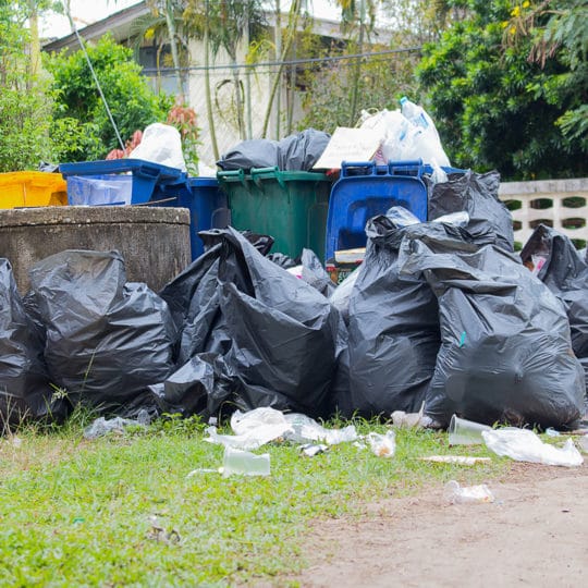 Trash Removal